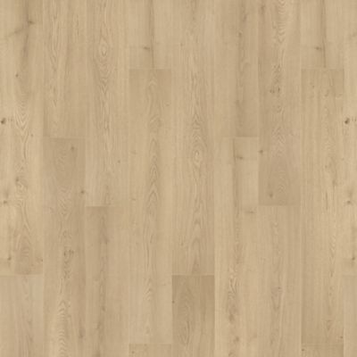 NatureTEK Select Palisades Park Smokey Taupe Laminate Wood Plank Flooring - Textured