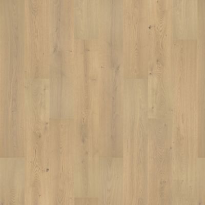 NatureTEK Select Palisades Park Sonoran Beige Laminate Wood Plank Flooring - Textured