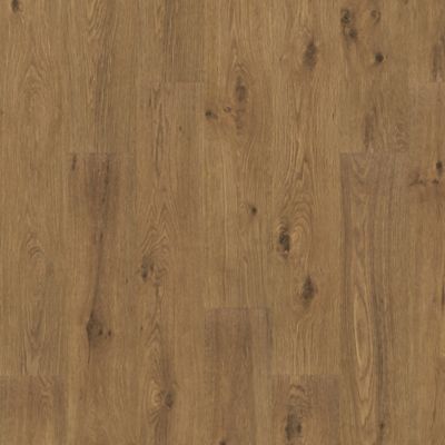 NatureTEK Premier Propello Cargo Oak Laminate Wood Plank Flooring - Textured