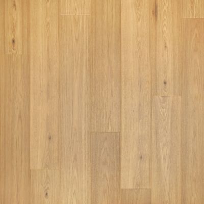 NatureTEK Premier Stellaris Solstice Hickory Laminate Wood Plank Flooring - Textured