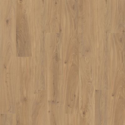 NatureTEK Plus Ellicott Point Gilded Page Oak Laminate Wood Plank Flooring - Textured