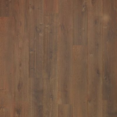 NatureTEK Plus Abreeza Hutia Oak Laminate Wood Plank Flooring - Textured