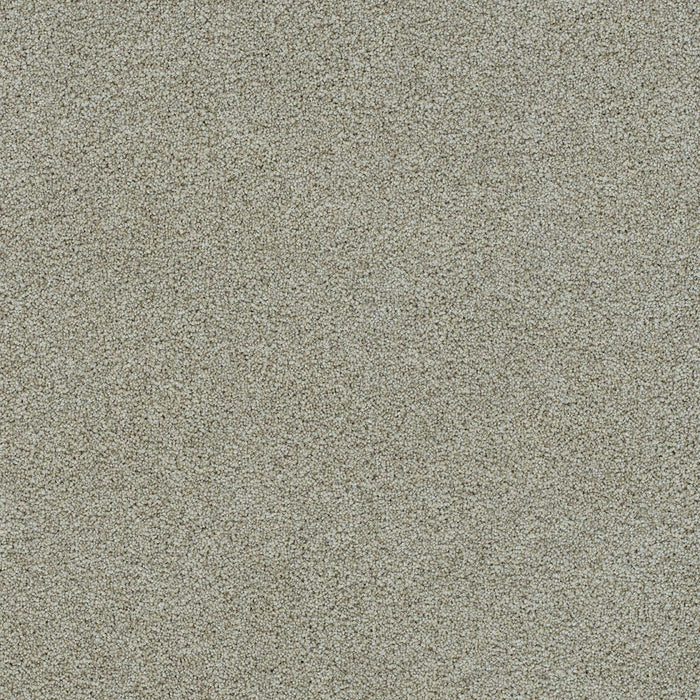 Morning Glory II Polyester French Silk 2194 Carpet Textured 1