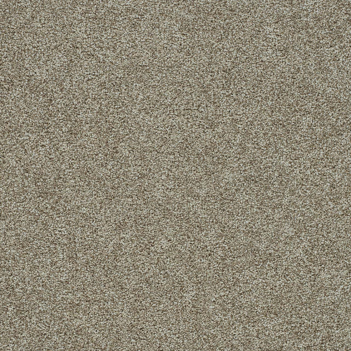 Morning Glory II Polyester Northwood 2226 Carpet Textured 1