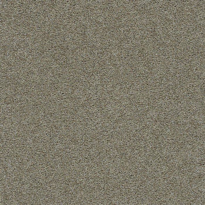 Morning Glory III Polyester Attica 2346 Carpet Textured 1