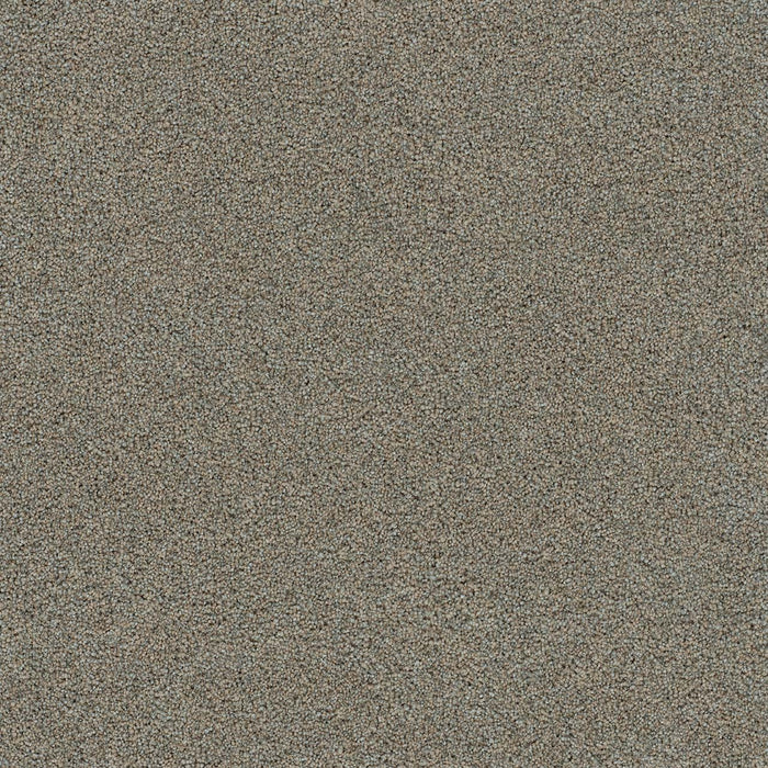 Morning Glory III Polyester Papaya 2445 Carpet Textured 1