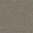 Morning Glory II Polyester Papaya 2445 Carpet Textured 1