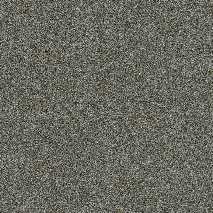 Morning Glory II Polyester Napa 2470 Carpet Textured 1