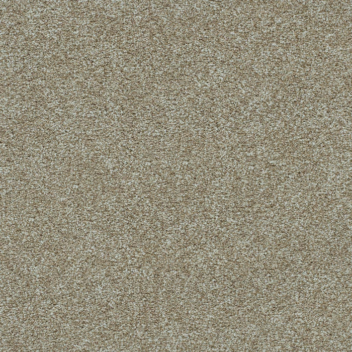 Morning Glory II Polyester Sunburst 2500 Carpet Textured 1