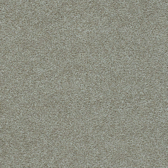 Morning Glory II Polyester Radiant 2705 Carpet Textured 1
