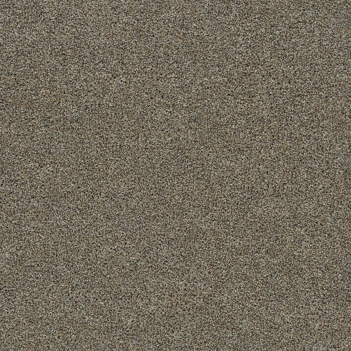 Morning Glory III Polyester Vermillion 2759 Carpet Textured 1