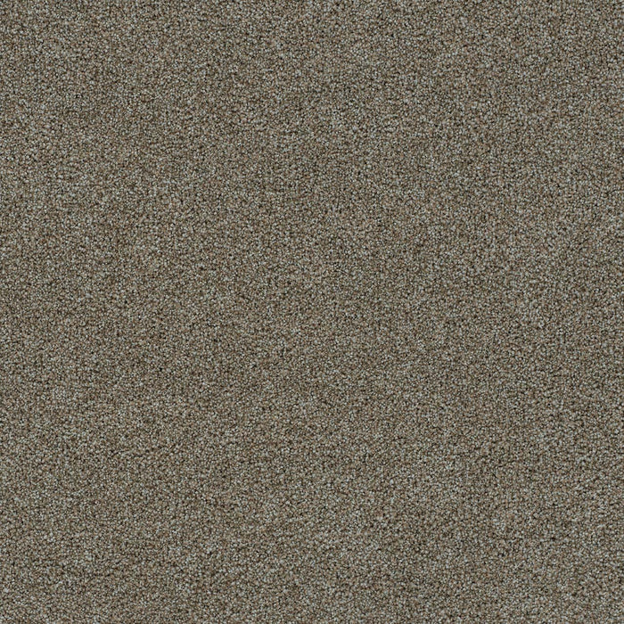 Morning Glory I Polyester Fiji Sands 2853 Carpet Textured 1