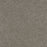 Morning Glory III Polyester Edgecomb 4052 Carpet Textured 1