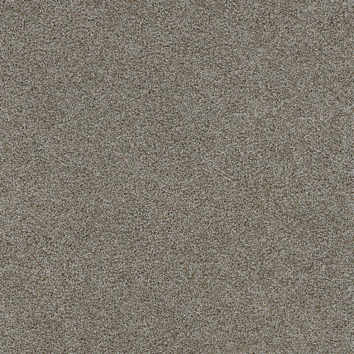 Morning Glory II Polyester Edgecomb 4052 Carpet Textured 1