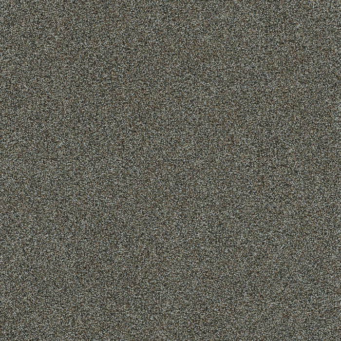 Morning Glory II Polyester Bourbon 4093 Carpet Textured 1