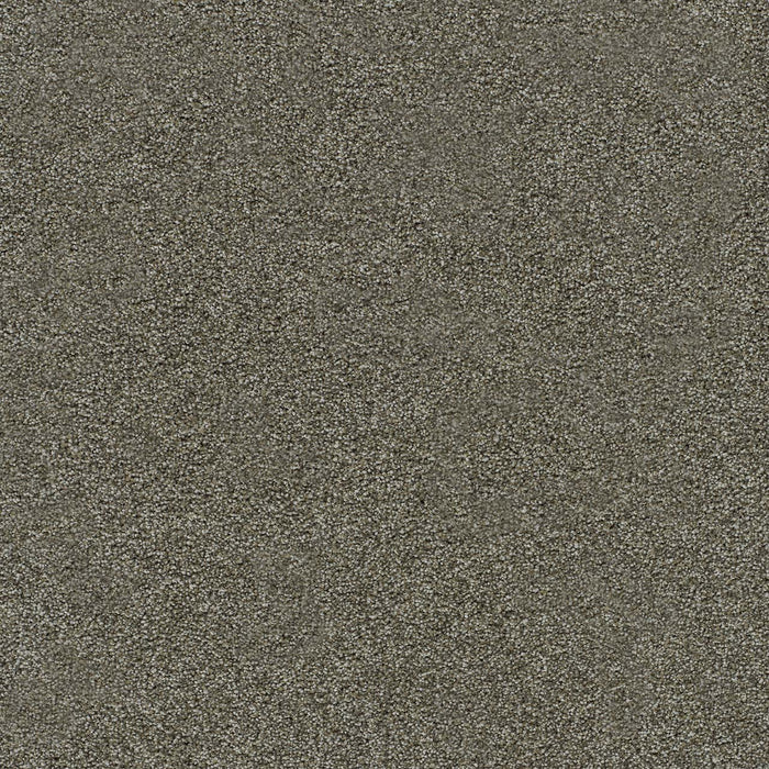 Morning Glory II Polyester Toffee 4183 Carpet Textured 1