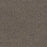 Morning Glory II Polyester Romano 4427 Carpet Textured 1