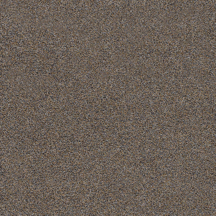 Morning Glory III Polyester Romano 4427 Carpet Textured 1