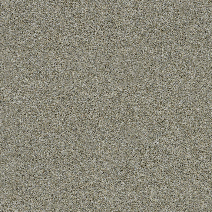 Morning Glory III Polyester Artic Vibe 4644 Carpet Textured 1
