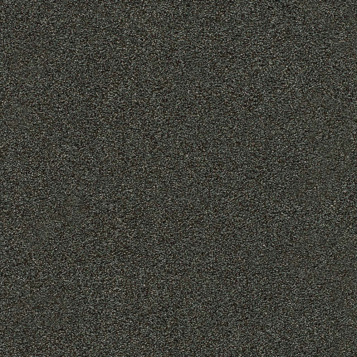 Morning Glory I Polyester Ivyline 4688 Carpet Textured 1