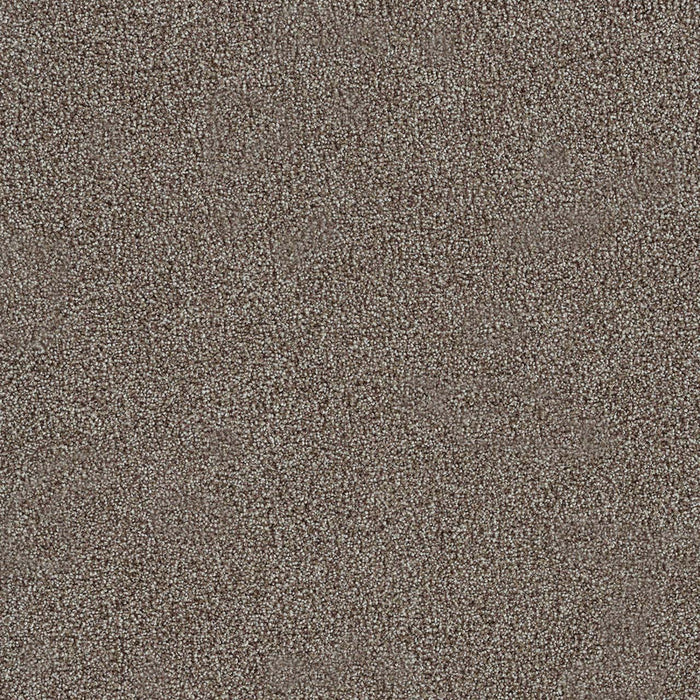 Morning Glory I Polyester Dewberry 4767 Carpet Textured 1