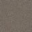 Morning Glory II Polyester Dewberry 4767 Carpet Textured 1