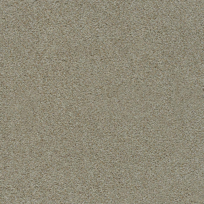 Morning Glory II Polyester Marigold 4824 Carpet Textured 1