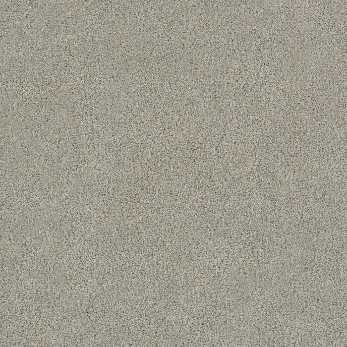 Morning Glory III Polyester Blush 4926 Carpet Textured 1