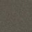 Morning Glory III Polyester Barcelona 5141 Carpet Textured 1