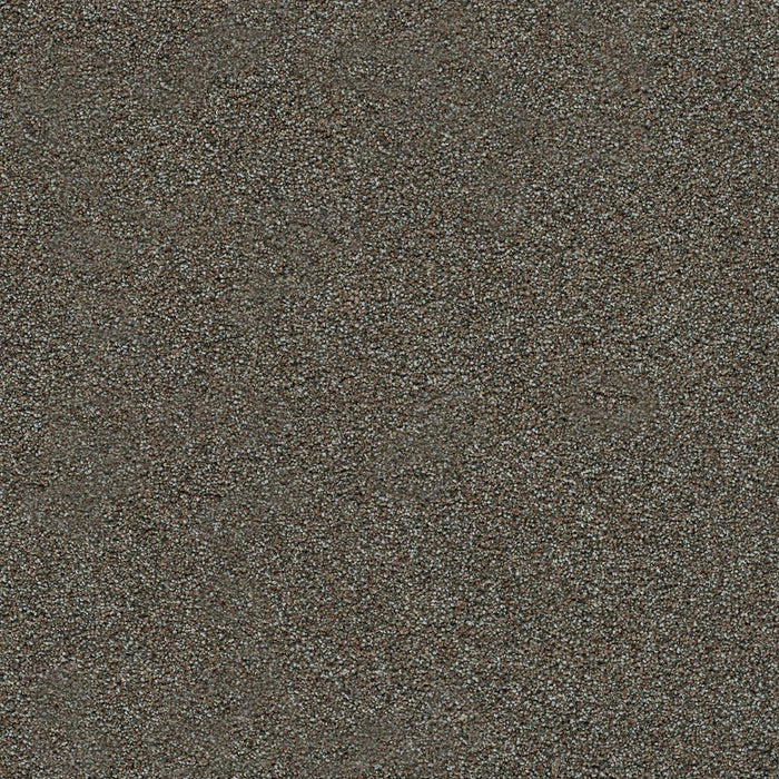 Morning Glory III Polyester Barcelona 5141 Carpet Textured 1