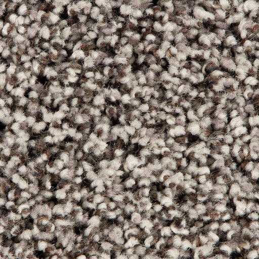 Soft Accolade II Slate 933