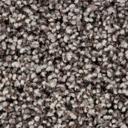 Soft Accolade II Flannel 973