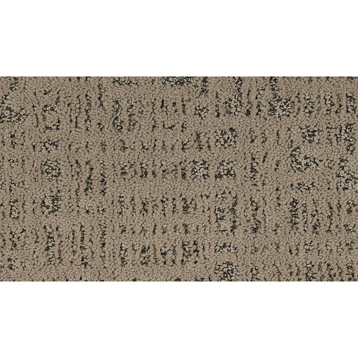 Exquisite Portrait Marsh Grass 511