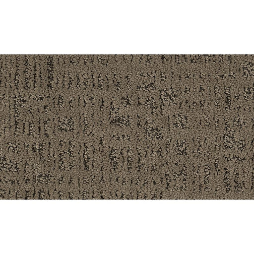 Exquisite Portrait Cathedral 516