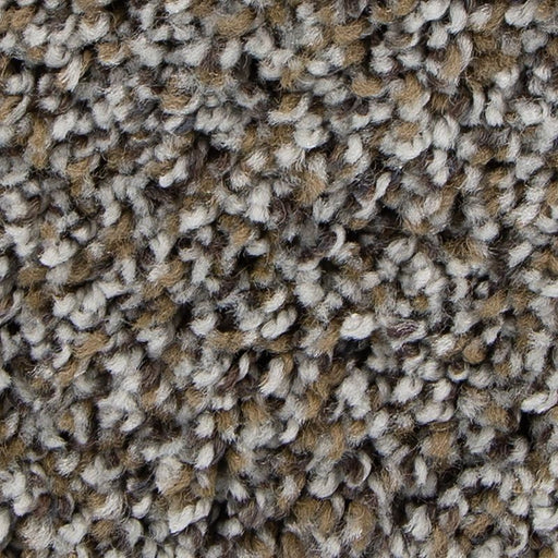 Soft Intrigue I Gray Dew 539