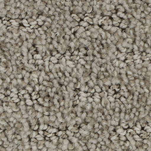 Stylish Tones Yearling 805