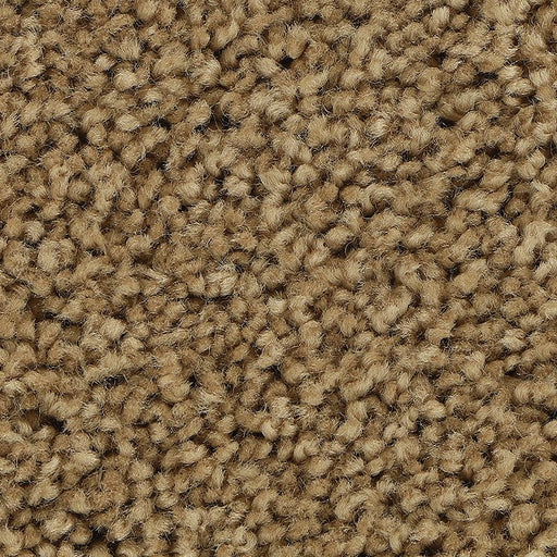 Soft Outlook Artisan Hue 771