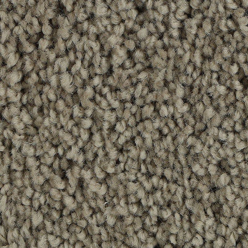 Soft Outlook Universal 815