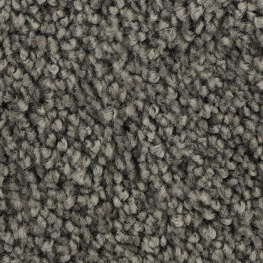 Soft Outlook Dorian 984