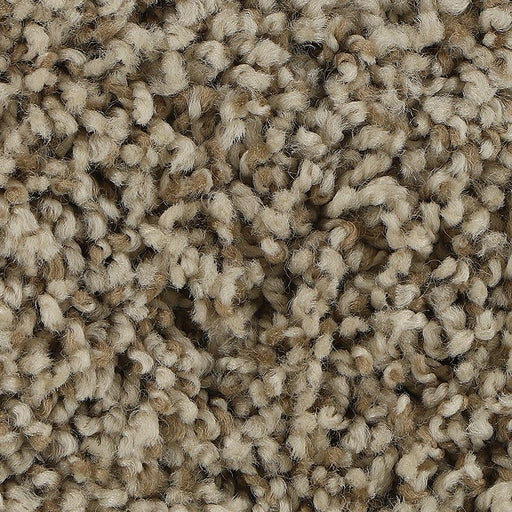 Soft Aspect Neutral 765