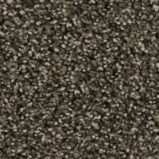 Natural Opulence I Taupe Delight 869