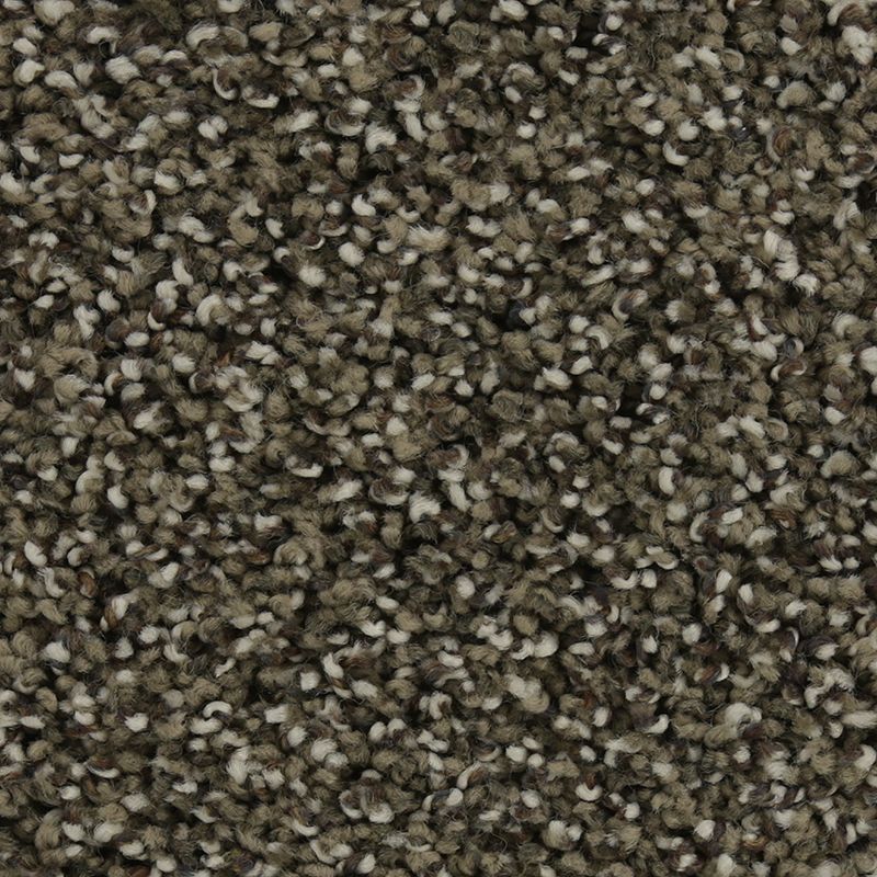 Natural Opulence I Taupe Delight 869