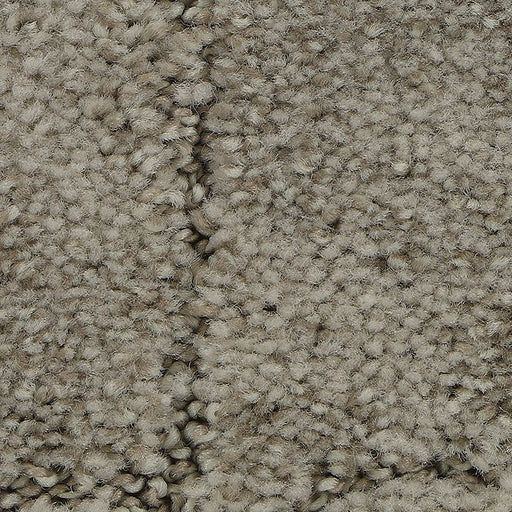 Elaborate Appeal Amarillo 729