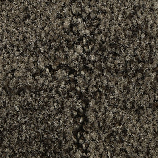 Elaborate Appeal Nutmeg 879