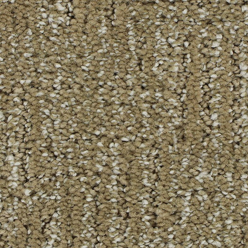 Natural Texture Champagne 772