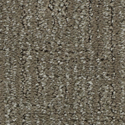 Natural Texture Shadow Taupe 779