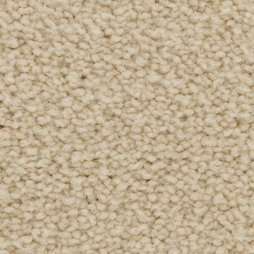 Coastal Fashion III Dune 712