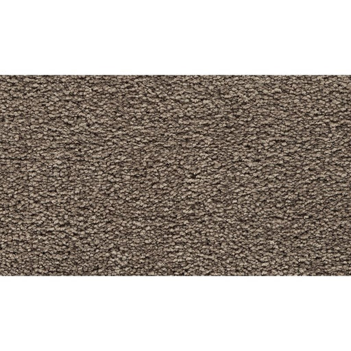 Bold Choice Radiance 789