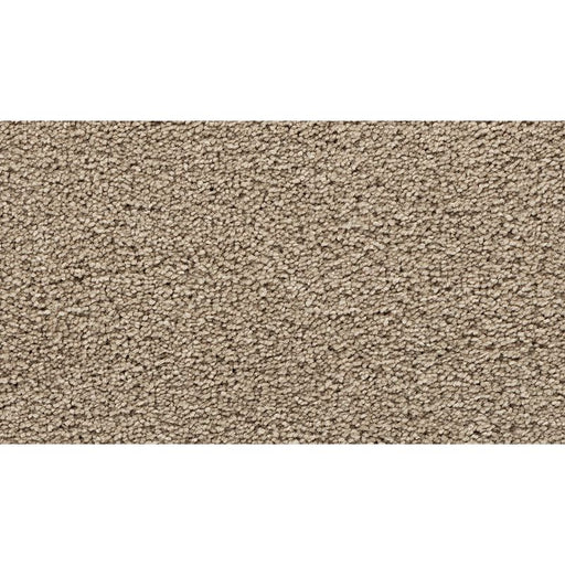 Bold Choice Cape Cod 815