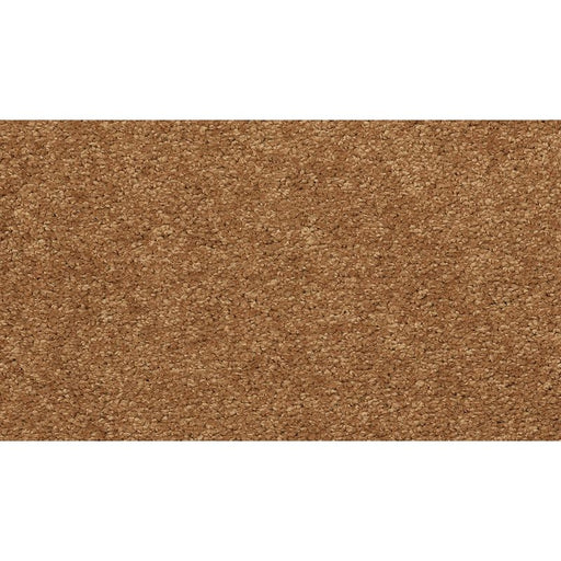 Soft Edition I Autumn 250